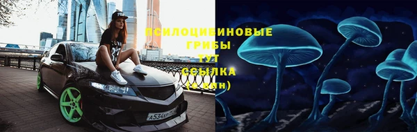 бошки Нягань