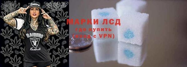 PSILOCYBIN Аркадак