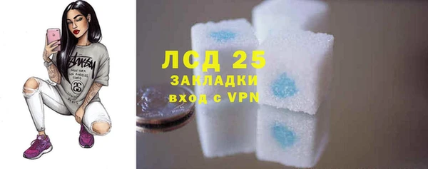 PSILOCYBIN Аркадак