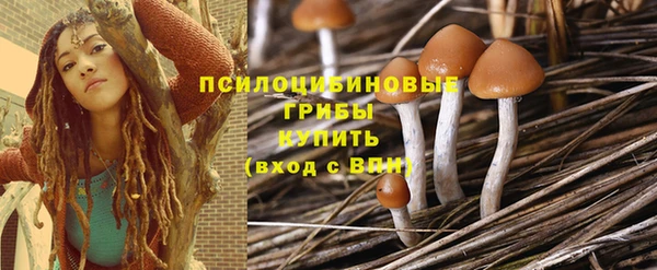 PSILOCYBIN Аркадак