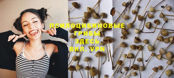 индика Переславль-Залесский