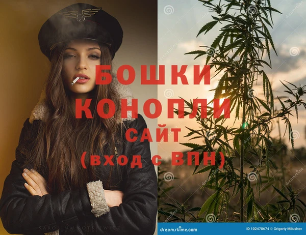 PSILOCYBIN Аркадак