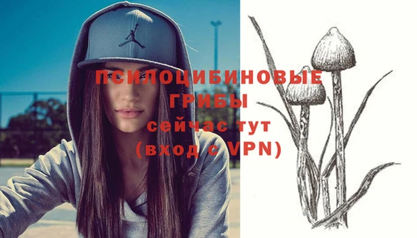 MESCALINE Арсеньев