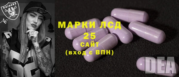 PSILOCYBIN Аркадак