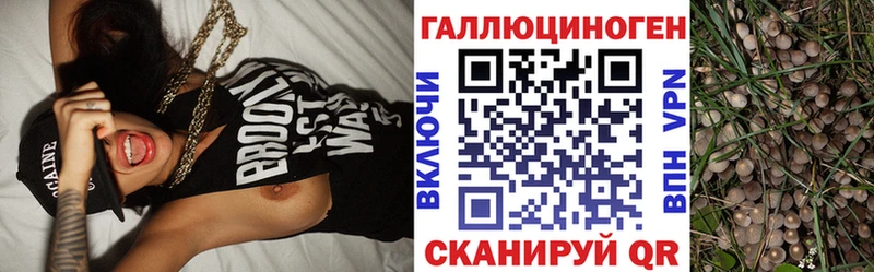 купить наркотик  Тюкалинск  Псилоцибиновые грибы Magic Shrooms 